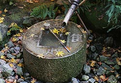 mL