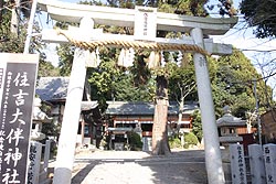 Zg唺_