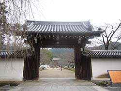 펛
