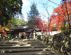 RO